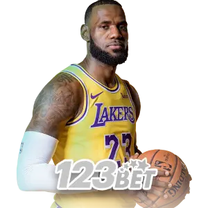 TFJILI basketball betting dashboard